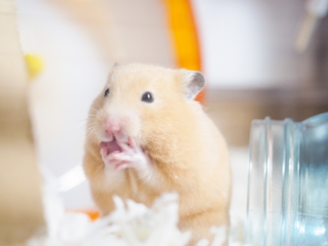 ブログ１だよ～